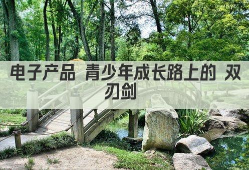 电子产品 青少年成长路上的 双刃剑 